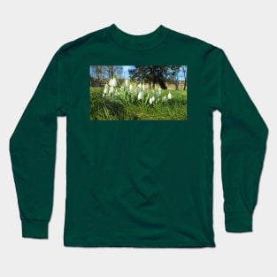 Snowdrops in the Afternoon Sun Long Sleeve T-Shirt